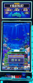 Crash Games Statistics 34Bet